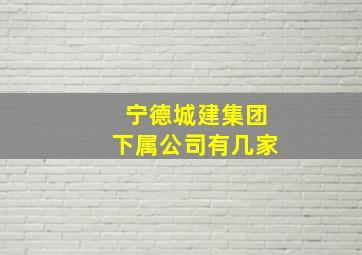 宁德城建集团下属公司有几家