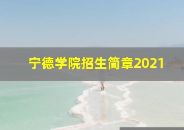 宁德学院招生简章2021