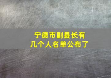 宁德市副县长有几个人名单公布了