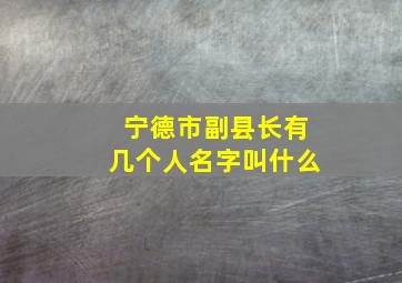 宁德市副县长有几个人名字叫什么