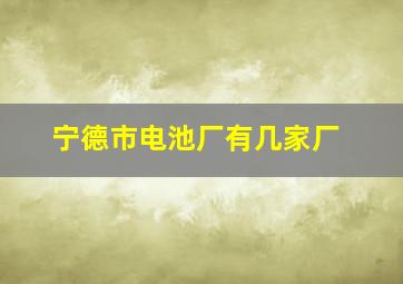 宁德市电池厂有几家厂