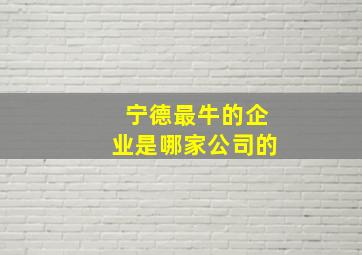 宁德最牛的企业是哪家公司的