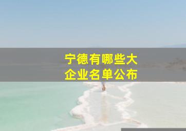 宁德有哪些大企业名单公布