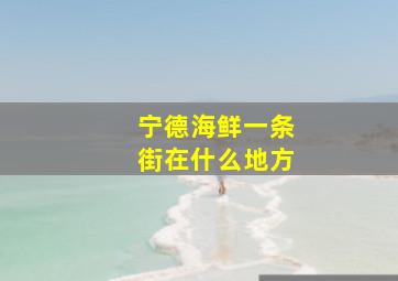 宁德海鲜一条街在什么地方