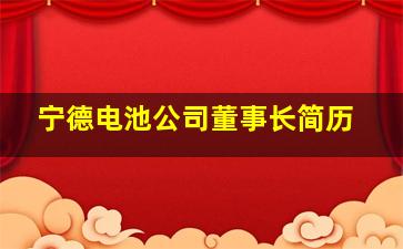 宁德电池公司董事长简历