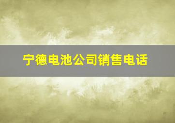 宁德电池公司销售电话