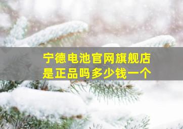 宁德电池官网旗舰店是正品吗多少钱一个