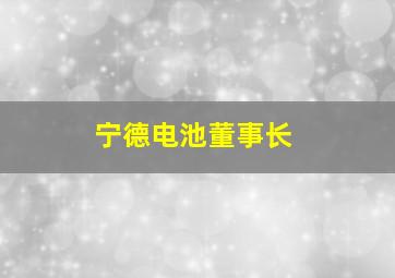 宁德电池董事长