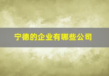 宁德的企业有哪些公司