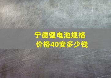 宁德锂电池规格价格40安多少钱