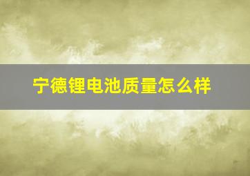 宁德锂电池质量怎么样