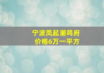 宁波凤起潮鸣府价格6万一平方