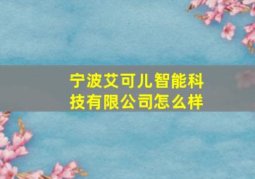 宁波艾可儿智能科技有限公司怎么样