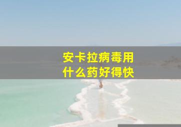 安卡拉病毒用什么药好得快