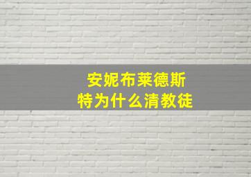 安妮布莱德斯特为什么清教徒