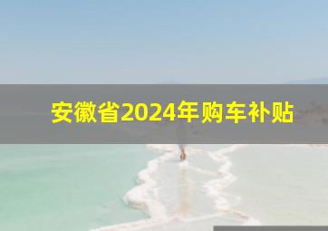 安徽省2024年购车补贴