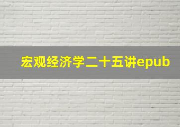 宏观经济学二十五讲epub