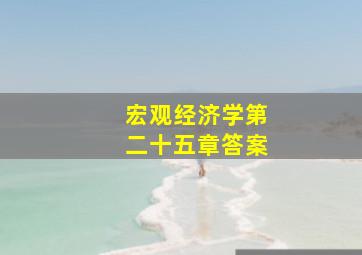 宏观经济学第二十五章答案