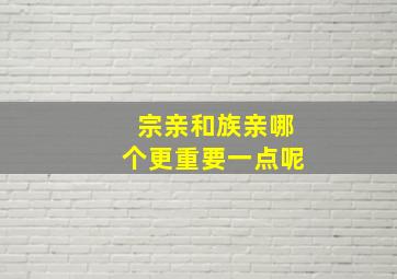 宗亲和族亲哪个更重要一点呢