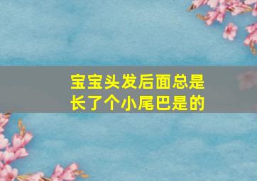 宝宝头发后面总是长了个小尾巴是的