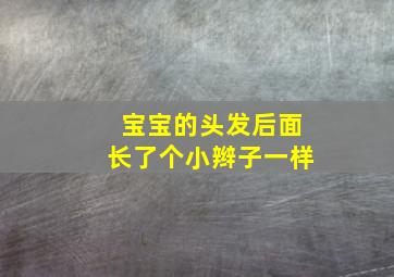 宝宝的头发后面长了个小辫子一样