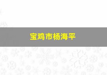 宝鸡市杨海平