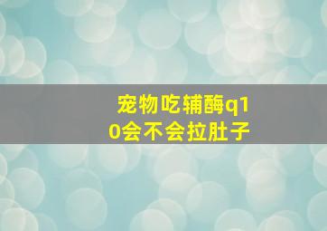 宠物吃辅酶q10会不会拉肚子