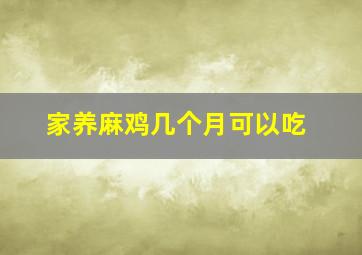 家养麻鸡几个月可以吃