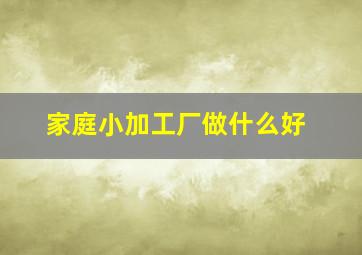 家庭小加工厂做什么好