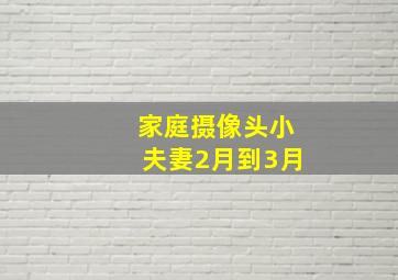 家庭摄像头小夫妻2月到3月