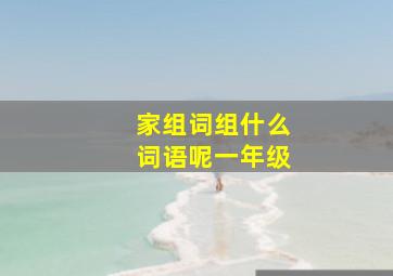 家组词组什么词语呢一年级