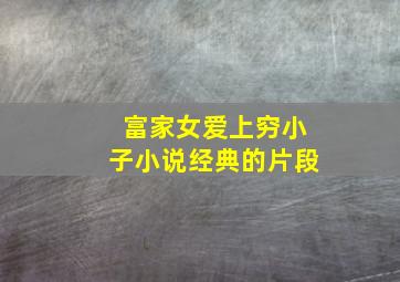 富家女爱上穷小子小说经典的片段