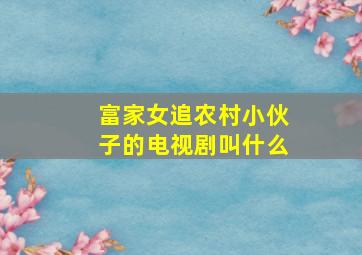 富家女追农村小伙子的电视剧叫什么