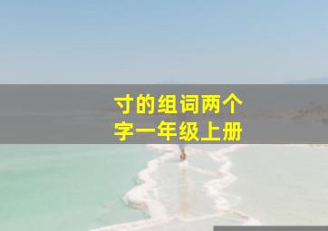 寸的组词两个字一年级上册