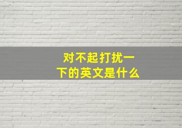 对不起打扰一下的英文是什么