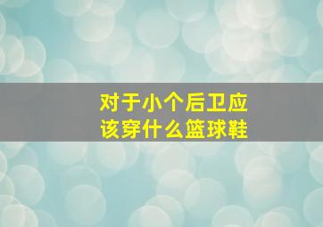 对于小个后卫应该穿什么篮球鞋