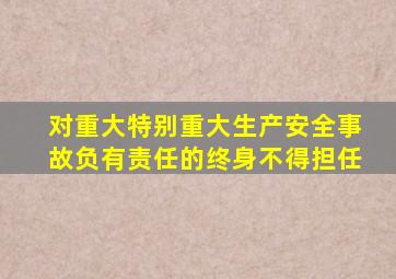 对重大特别重大生产安全事故负有责任的终身不得担任