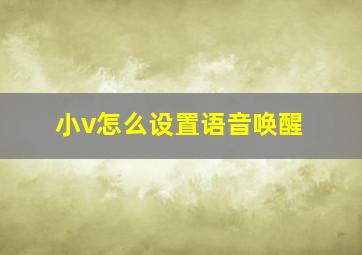 小v怎么设置语音唤醒