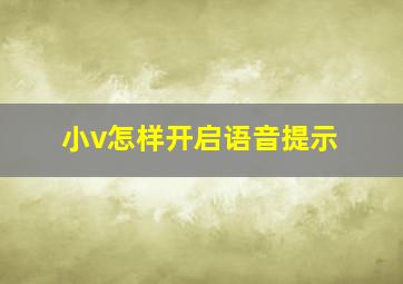 小v怎样开启语音提示