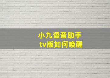 小九语音助手tv版如何唤醒