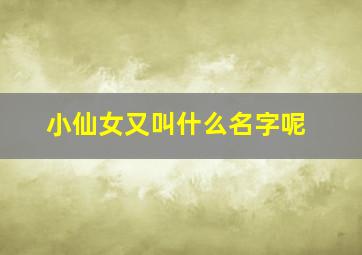 小仙女又叫什么名字呢