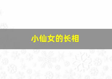 小仙女的长相