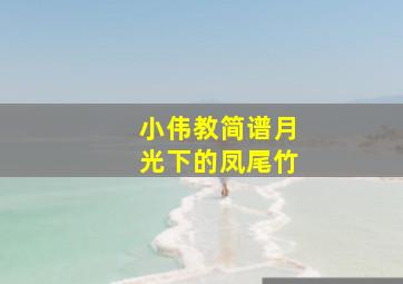 小伟教简谱月光下的凤尾竹