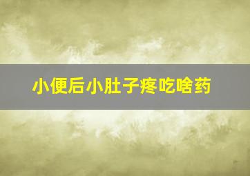 小便后小肚子疼吃啥药