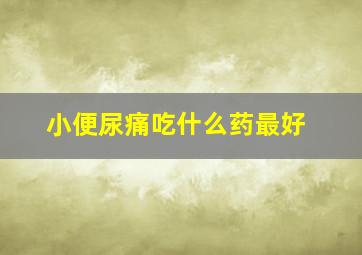 小便尿痛吃什么药最好