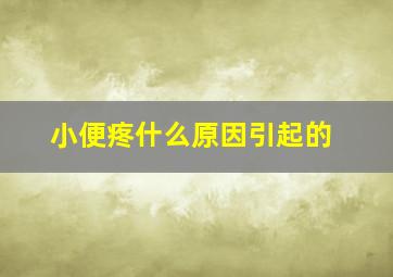 小便疼什么原因引起的