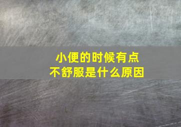 小便的时候有点不舒服是什么原因