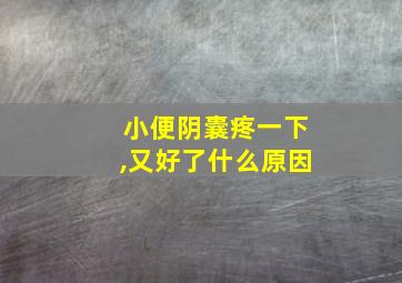 小便阴囊疼一下,又好了什么原因