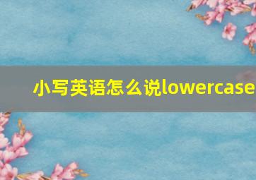 小写英语怎么说lowercase