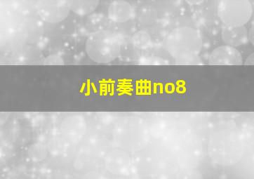 小前奏曲no8